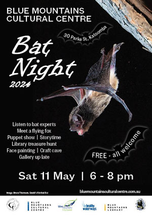 Bat Nigh Flyer