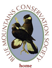 BMCS logo