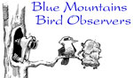 Blue Mountains Bird Observers logo