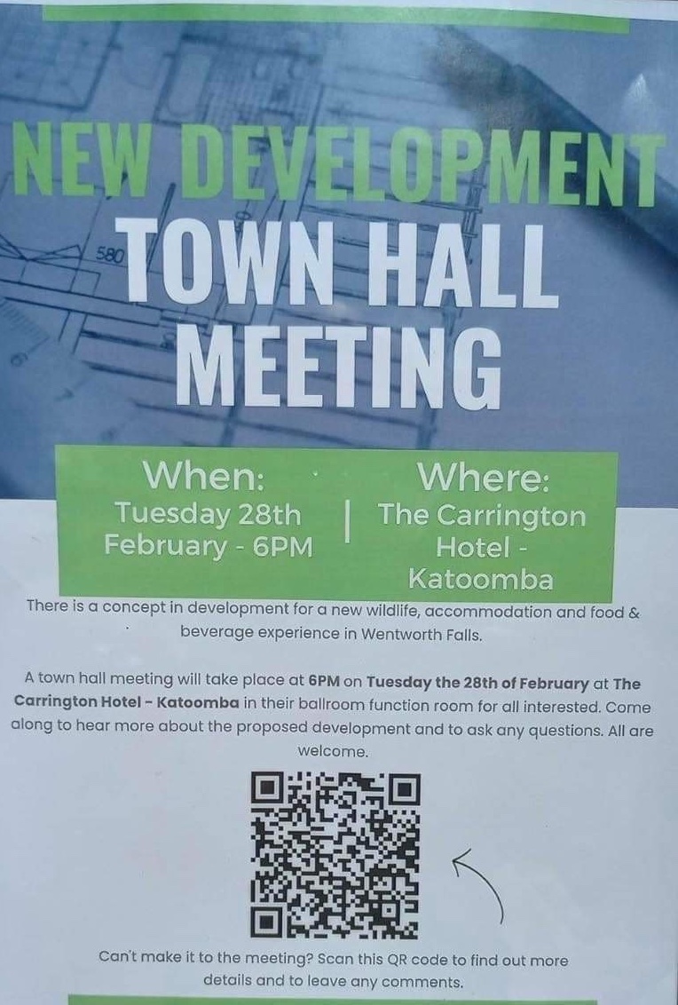 Town Hall meeting poster