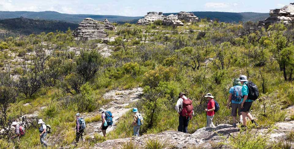 Bushwalking