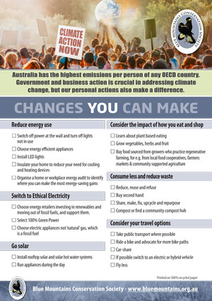 Climate Action Now Flyer