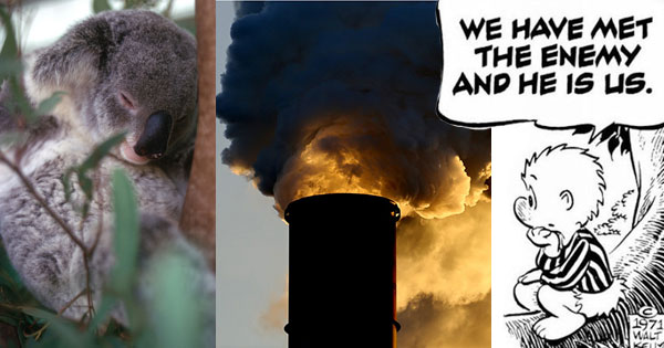 Koala, Smoke Stack and Pogo