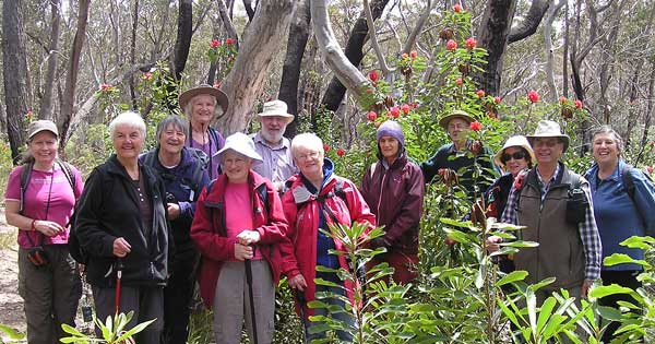 Wild TING on Newnes Plateau