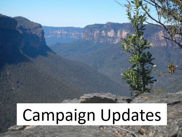 campaign updates