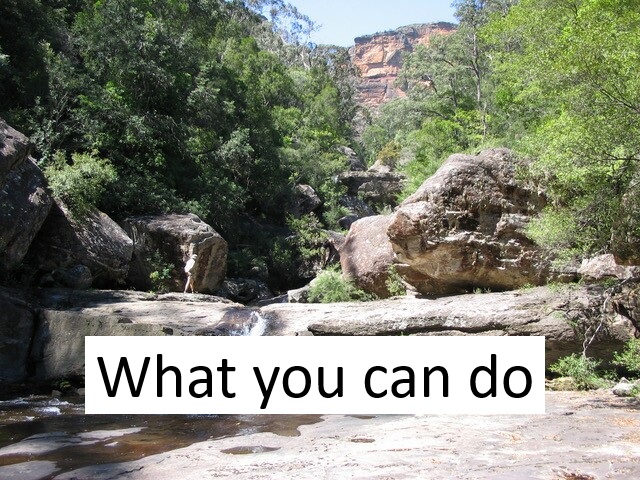 what you can do