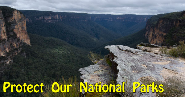 Protect Our National Parks