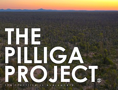 The Pilliga Project
