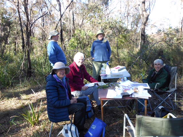 Working at Red Gum Park June 2022