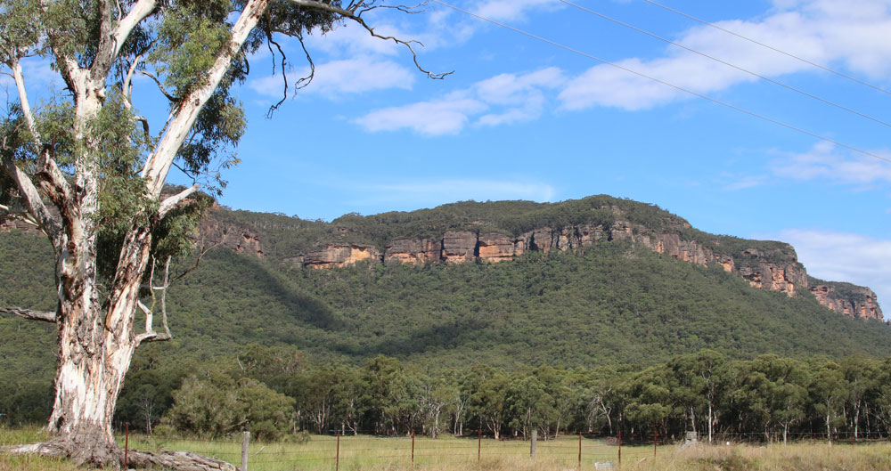 Radiata Plateau from Megalong Valley