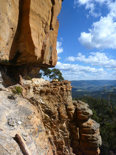 Radiata Plateau TIM VOLLMER